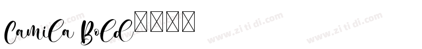 Camila Bold字体转换